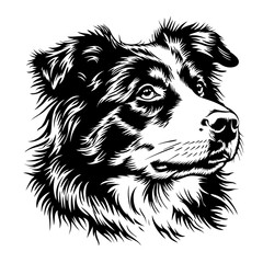 AUSTRALIAN shepherd dog Detailed black and white border collie tattoo design