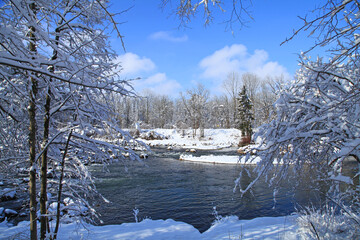 isar river in munich germany snow cold ice winter season wild forest with beautiful nature...