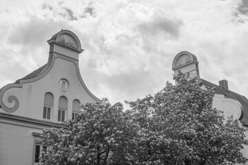 Sommer and der Schlei