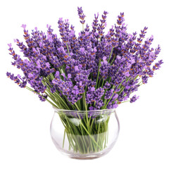 Obraz premium Lavender bouquet arrangement home floral photography indoor close-up
