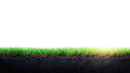 Growing grass on fertile soil nature landscape outdoor close-up