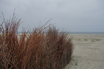 Die Insel Jusit in der Nordsee