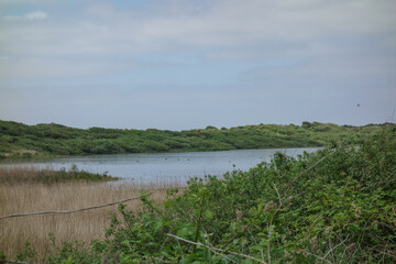 Die Insel Jusit in der Nordsee