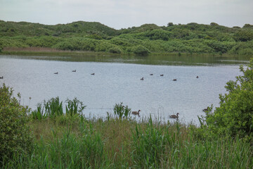 Die Insel Jusit in der Nordsee
