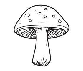 Cartoon mushrooms on a white background. Hand-drawn mushroom illustration, nature-inspired art