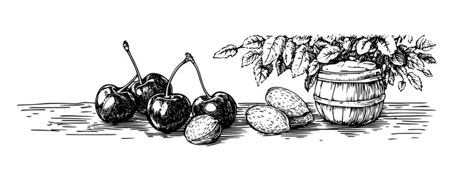 Engraved illustration of cherries and nuts with a rustic barrel on a wooden table in a calm, natural setting