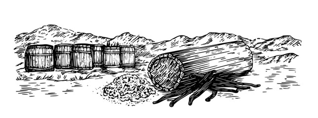 Obraz premium Engraved illustration of barrels with spilled vanilla pods in a mountainous landscape during daylight
