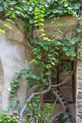 Reisen an der Donau in Österreich