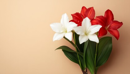 Obraz premium Red and White Flowers Bouquet on Beige Background