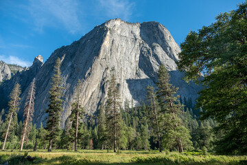 El Capitan towering over Yosemite Valley meadows in Yosemite National Park, California
