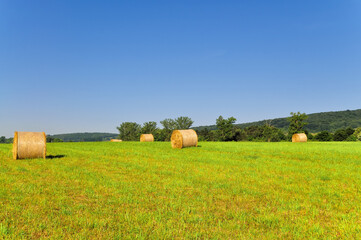 Fototapeta premium Wheat bale.