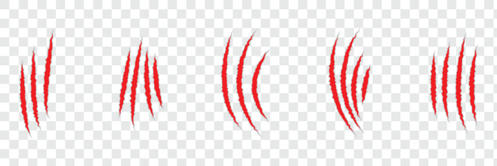 Scratch claws of animal, scratch scrape track, scratches paw shape