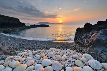  jeju sunset shell reef beach