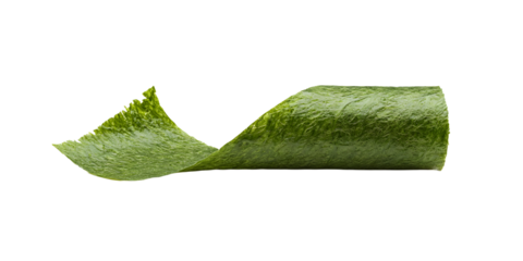 Single curled piece of dried nori seaweed against black background with a wavy edge on the left side. The right side shows a partially rolled texture.