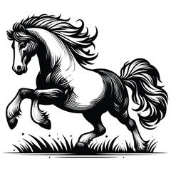 horse vector illustration