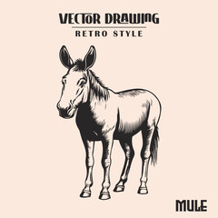 Mule Retro Style Illustration High Resolution Stock Vector
