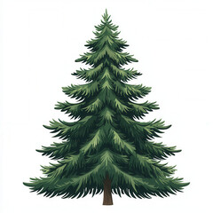 Fototapeta premium tall evergreen tree with lush green foliage, perfect for holiday decorations and winter scenes. Its symmetrical shape and dense branches create festive atmosphere