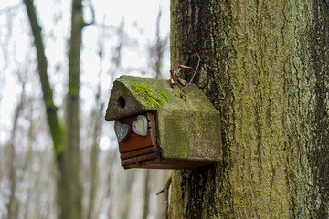 An old moss-covered birdhouse hangs on a tree in the forest