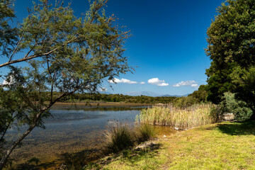 Etang auf Korsika