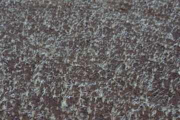 Sandboden in der Wüste mit Grassamen (Namib)