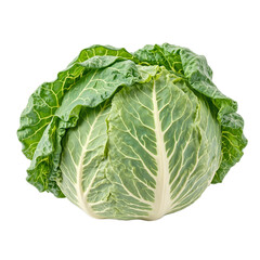 Fototapeta premium Fresh green cabbage leaf with intricate veins vibrant color and a hearty texture Isolated on a white background for a clean look