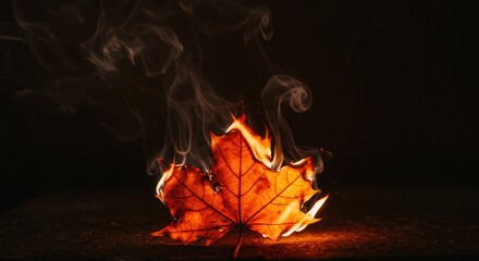 Burning Maple Leaf Emitting Smoke on Dark Surface a Fall Concept