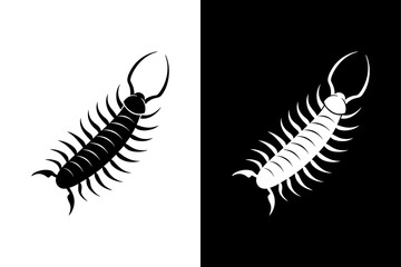 Centipede insect icon vector on White Background ,Vector Art Illustration on white background.