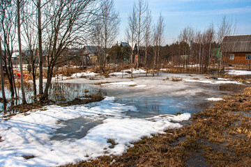 spring.The snow is melting and huge puddles are covering the backyard Old yellow grass and the first flowers appear from under the snow. Several trees are waking up and they will be covered leaves