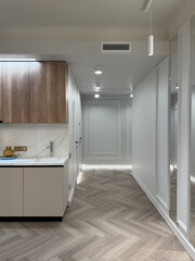 A contemporary apartment interior showcases a spacious layout with sleek wooden flooring and modern lighting fixtures. The kitchen area features minimalist cabinetry for a clean look.