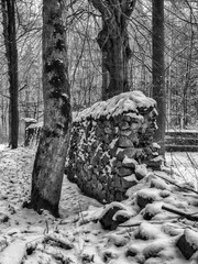 a wall in the woods - eine Mauer im Wald