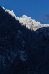 snow-covered slope with dangerous peaks is illuminated by the morning sun against the blue sky. In front of the snow-covered peaks, you can see a dark forest located in the shadow of nearest mountains