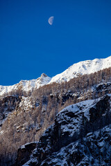 A vertical picture of a mountain slope in the Alps, taken early in the morning, with snow-covered peaks above a frozen forest. The Moon is hanging over the mountain tops