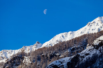 A horizontal picture of a mountain slope in the Alps, taken early in the morning, with snow-covered peaks above a frozen forest. The Moon is hanging over the mountain tops