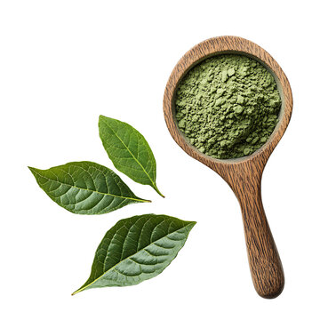 Banaba Leaf Extract Powder Isolated on Transparent Background PNG