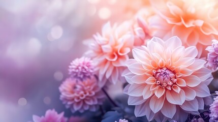 dreamy flower bouquet  with bokeh light, elegance background