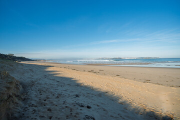 Vast white sand beach under the bright sun, with powerful waves crashing onshore. A deserted, untouched paradise with scattered driftwood and distant rocks adding to the wild beauty.
