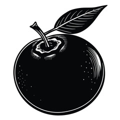 illustration of an blueberry on a black background vector illustration