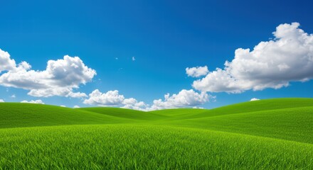 Obraz premium Expansive verdant terrain beneath clear azure heavens dotted with voluminous white billows and undulating mounds