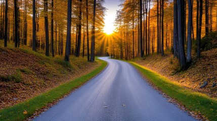 Obraz premium Serene autumn landscape featuring a winding road through vibrant trees at sunset