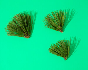 Pine needles on green