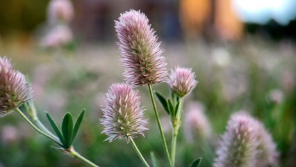 Delicate white flowers bloom in a lush garden during late spring, showcasing nature's vibrant beauty and intricate details
