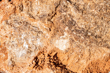 The background is a beautiful rough stone texture in close-up