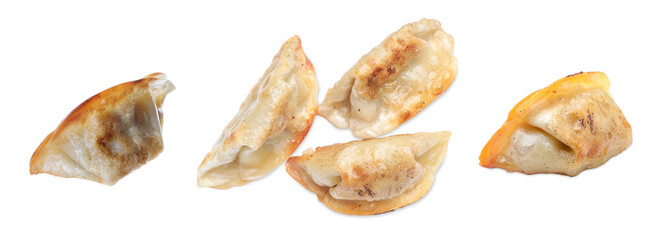 Tasty roasted gyoza (dumplings) on white background, collage