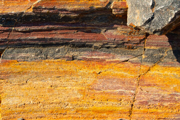 The background is a beautiful rough stone texture in close-up