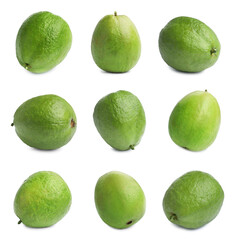 Tasty fresh guava fruits on white background, collage