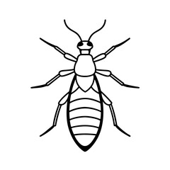black beetle isolated on white background