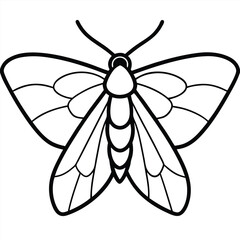 vector illustration of a dragonfly