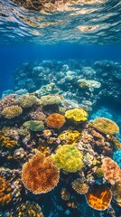 Naklejka premium Vibrant Underwater Coral Reef in Tropical Ocean Landscape