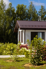 Eco-friendly materials in the construction of houses. Backyard Landscaping