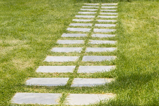 Beautiful walking paths in parks for walking. The use of concrete in landscape design